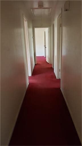 Photo - 6666 Laughlin Dr