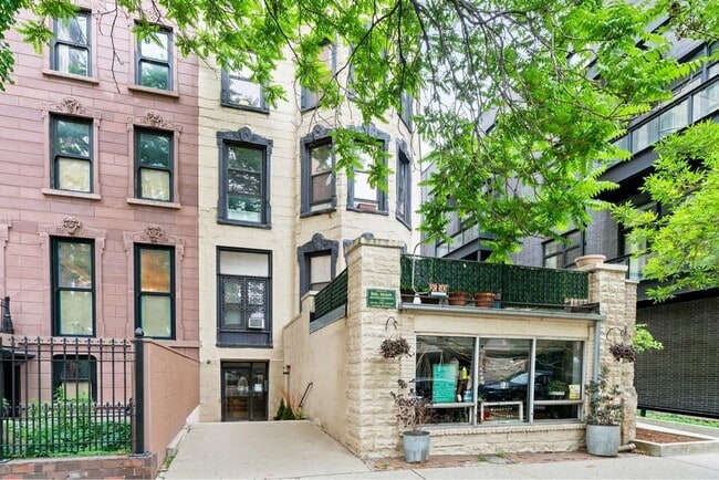 Building Photo - 1023 N Dearborn St Unit Studio