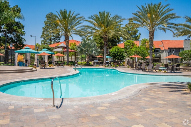 Resort-Style Pool and Amenities
