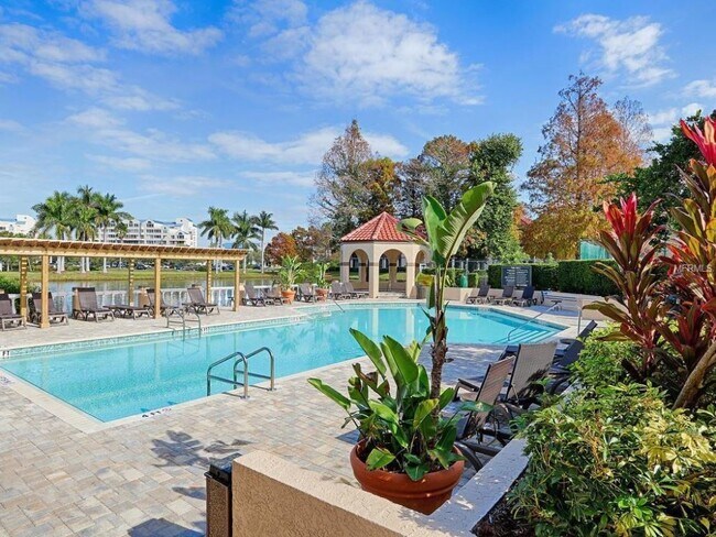 Beautiful community pool - 2400 Feather Sound Dr Apt 421 Unit #421