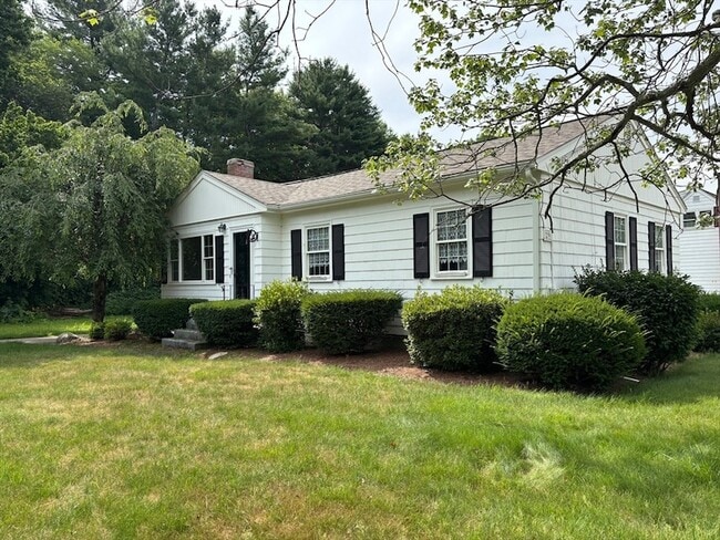 29 Forest St
