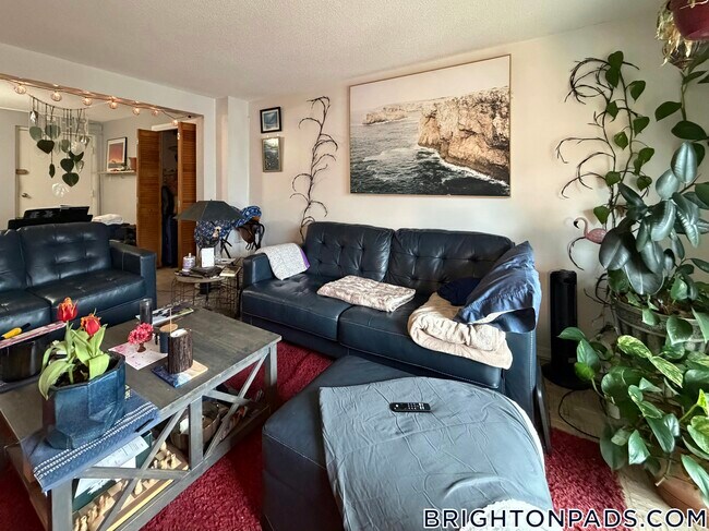 Photo - 26 Waverly St Unidad 304