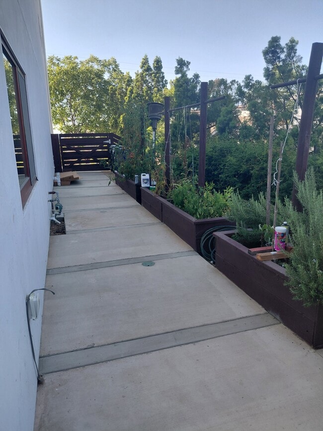 Photo - 401 Washingtonia Dr
