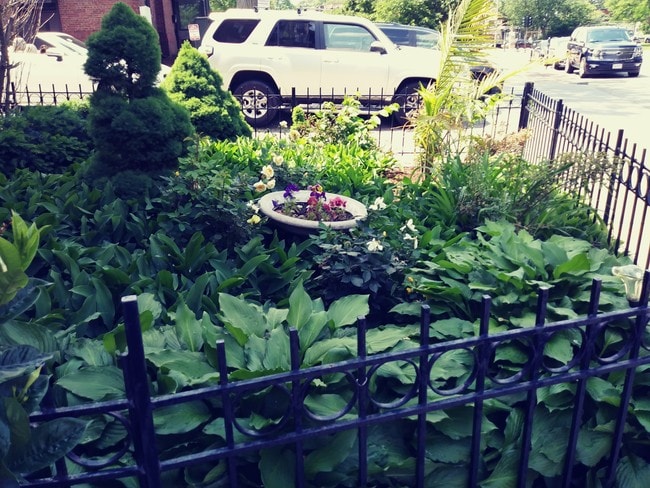 Photo - 17-31 Herrick Rd