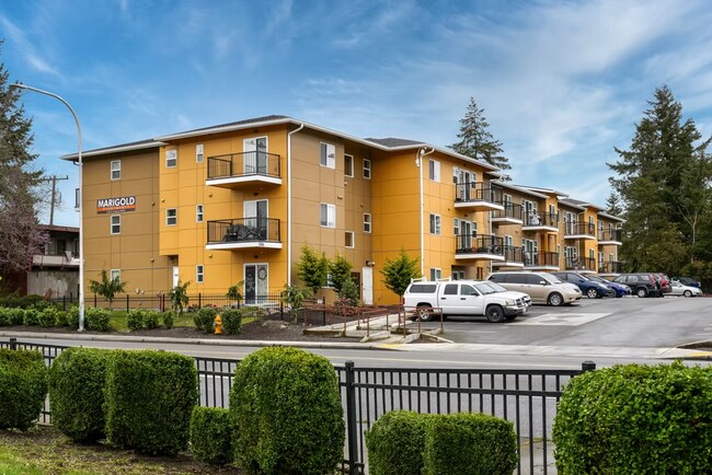 Photo - Refined Studio Living at Marigold Apartments — Available Now Unit 308