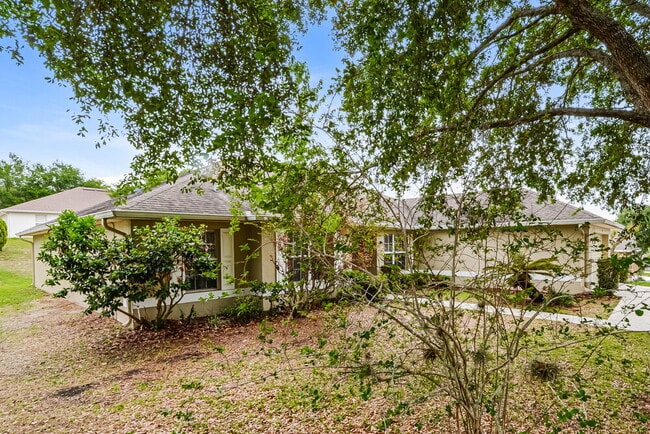 Photo - 942 Cork Oak Ln