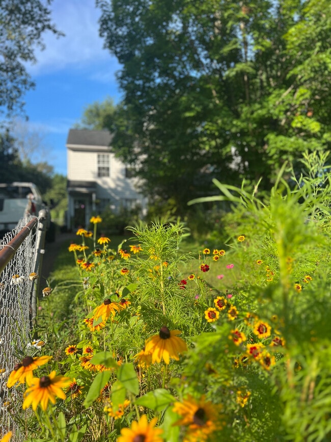 Photo - 433 Riverside Ave