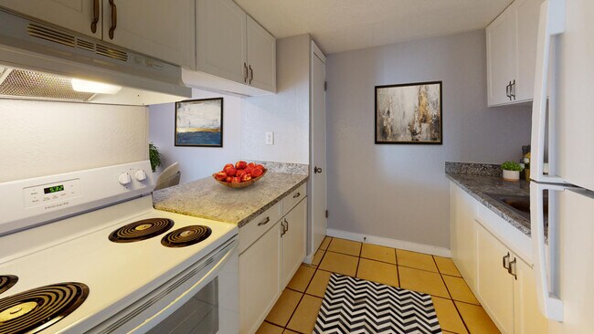 1 Bedroom 1 Bath | Kitchen