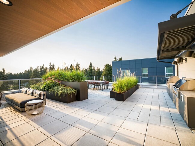 Enjoy open-air dining and grilling with a view on Modera Shoreline’s rooftop terrace—perfect for weekend gatherings or quiet evenings above the trees.