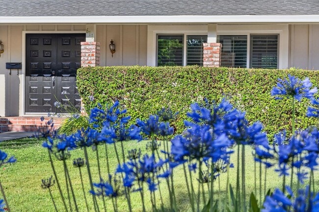 Photo - Northgate Beauty with Newly Landscaped Backyard, Top-Rated Schools & Prime Walnut Creek Location!