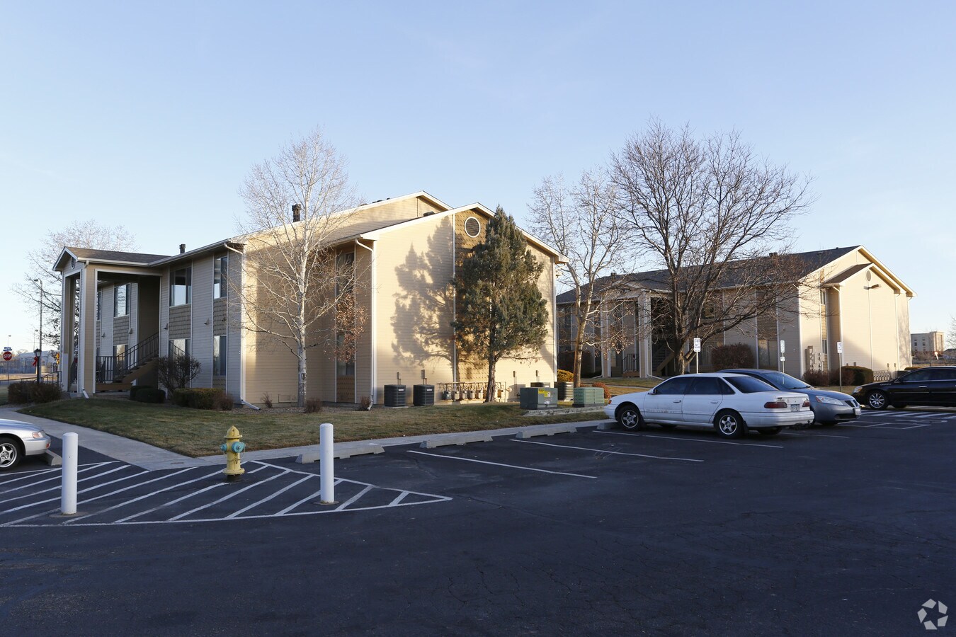 Pinecone/Mayfield Apartments - Pinecone/Mayfield Apartments