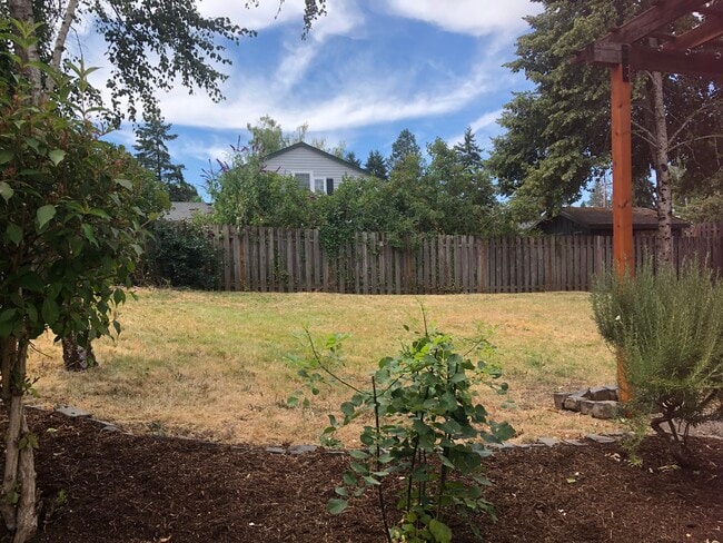 Yard - 12289 SW 114th Ter