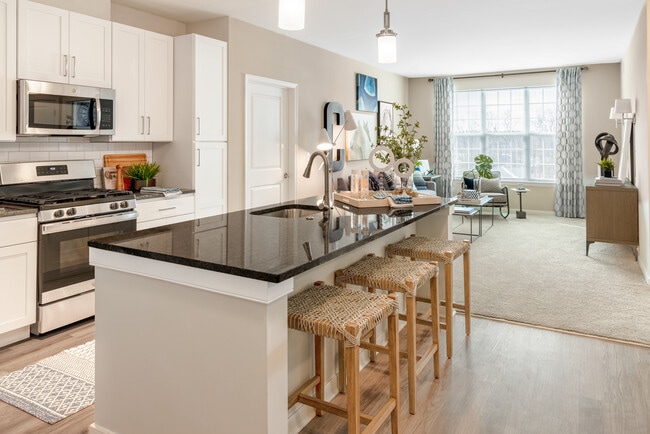 Designer Collection Kitchen