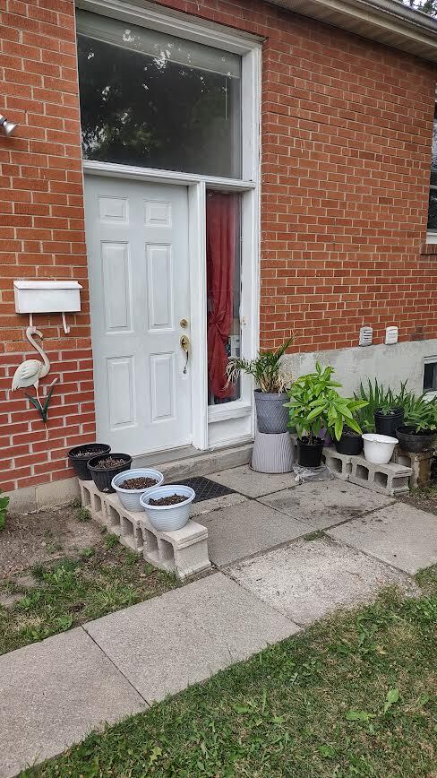 Building Photo - 355 Blue Grass Blvd Unit Basement Apt