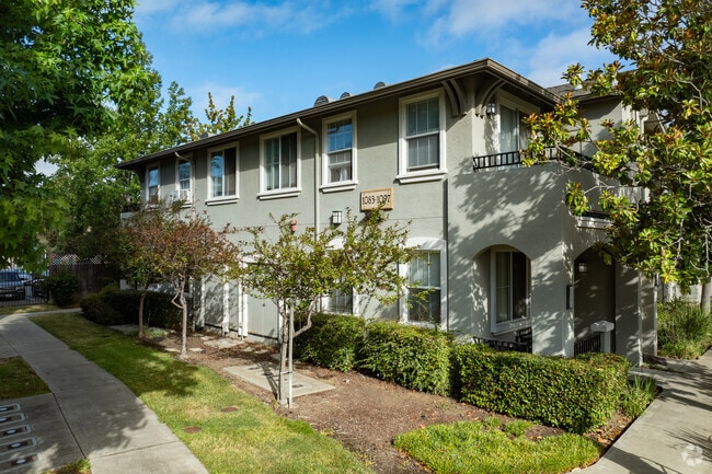 Alternate - Bay Ridge