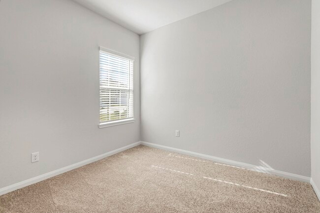 6429 Winter Elm St