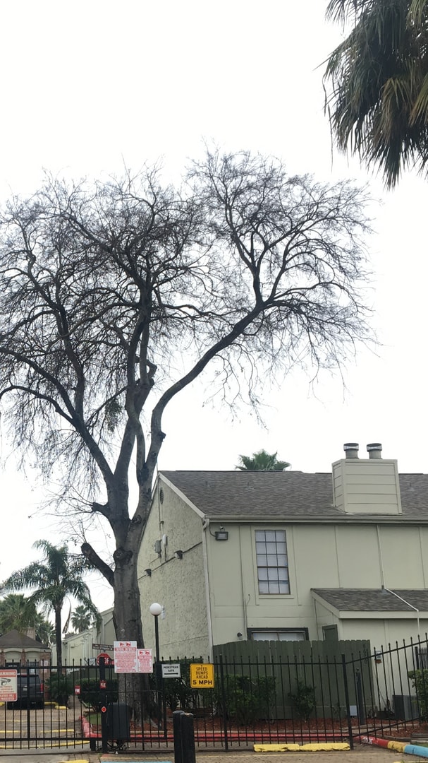 Photo - 3 bedroom townhouse in Southwest Area