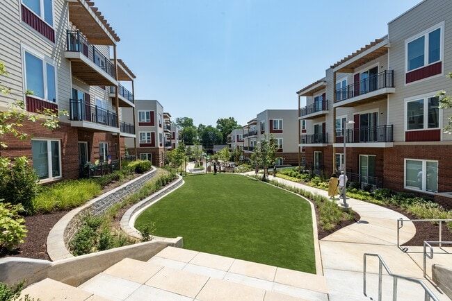 Photo - Allium Place