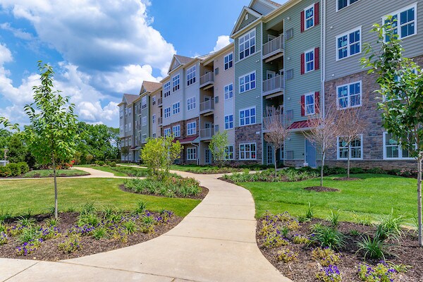 Spring View