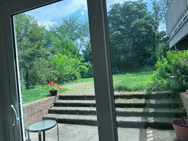 Photo - 1067 Treeline Dr