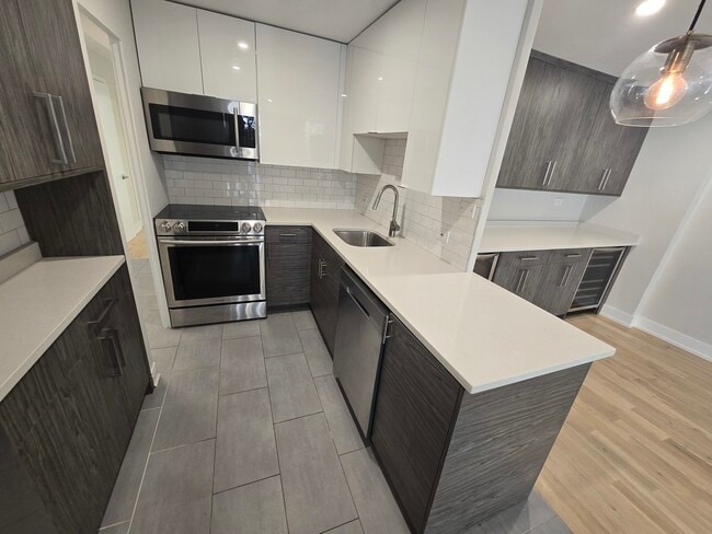 Photo - 227 E Walton Pl Unit 3W