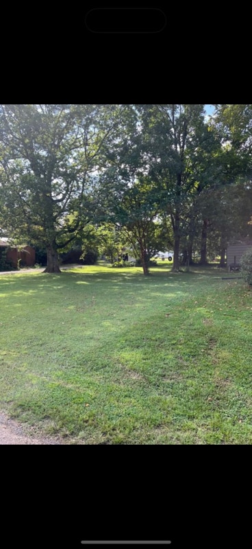 Photo - 1203 Brown St