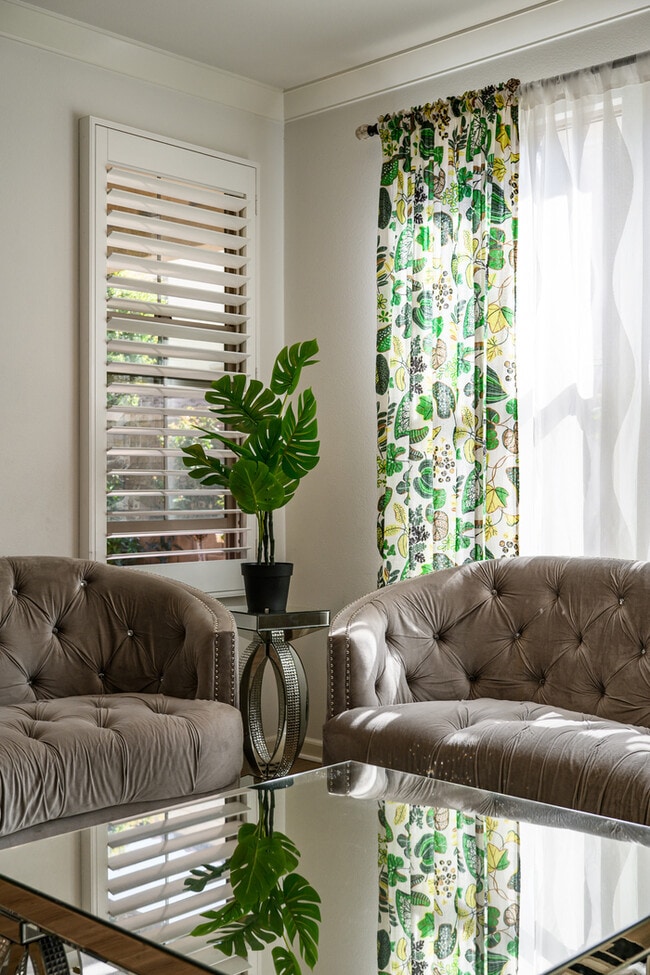 Photo - 110 Sugar Cane