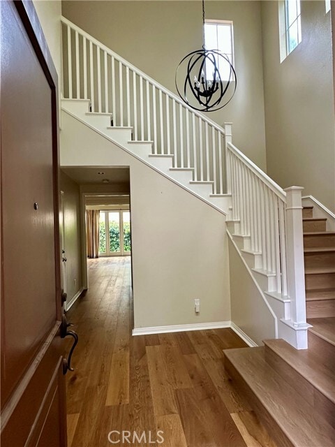 Photo - 111 Island Coral