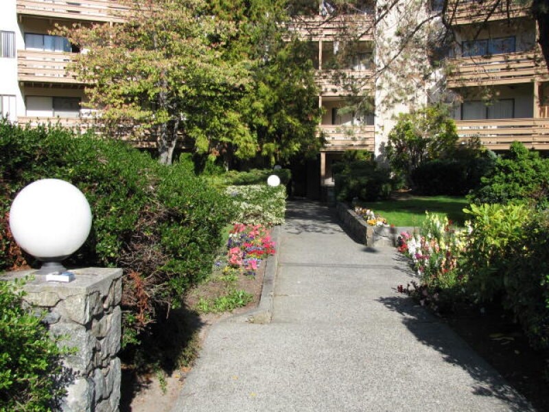 Maplewood Green - Maplewood Green