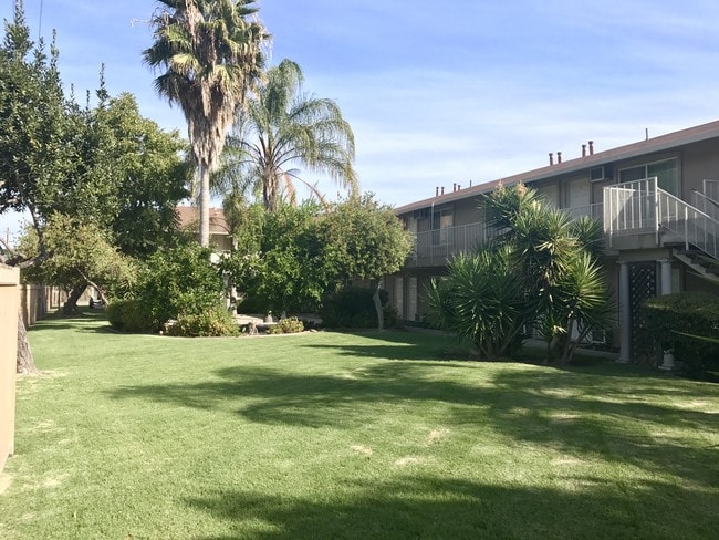 Olive Tree Apartments