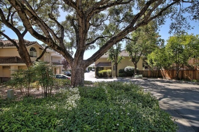 Nestled in a majestic oak grove. - 203 Bean Creek Road Townhome