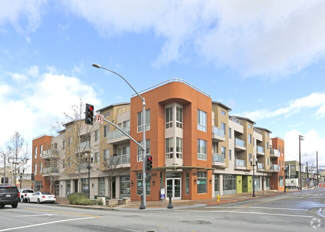 Allium - Allium Apartments