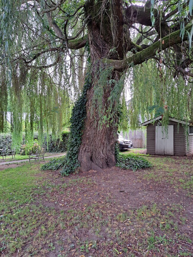 1204 Washington St Rental House Rental in Sumner, WA