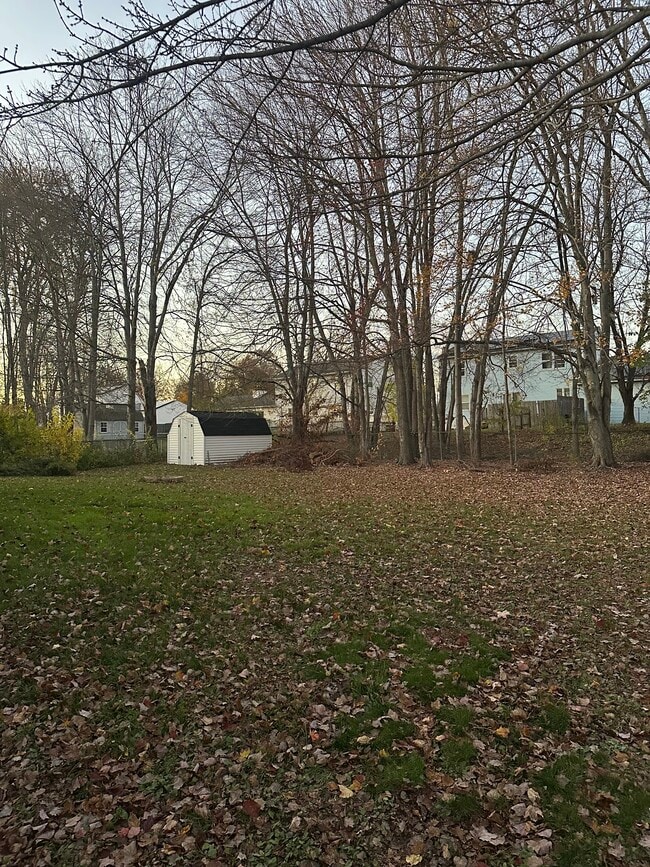 Photo - 29 Montano Rd