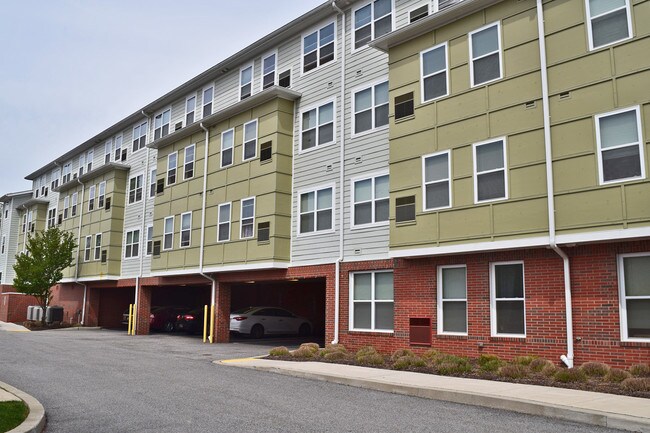 Birchwood at Elkton (62+ Community)