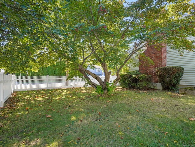 Photo - 3 Hirsch Rd