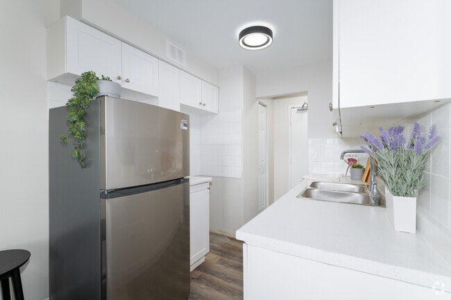 1 chambre, 1 salle de bain - 645 pi² - Cuisine - Main Street Apartments