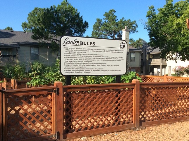 Veggie Garden