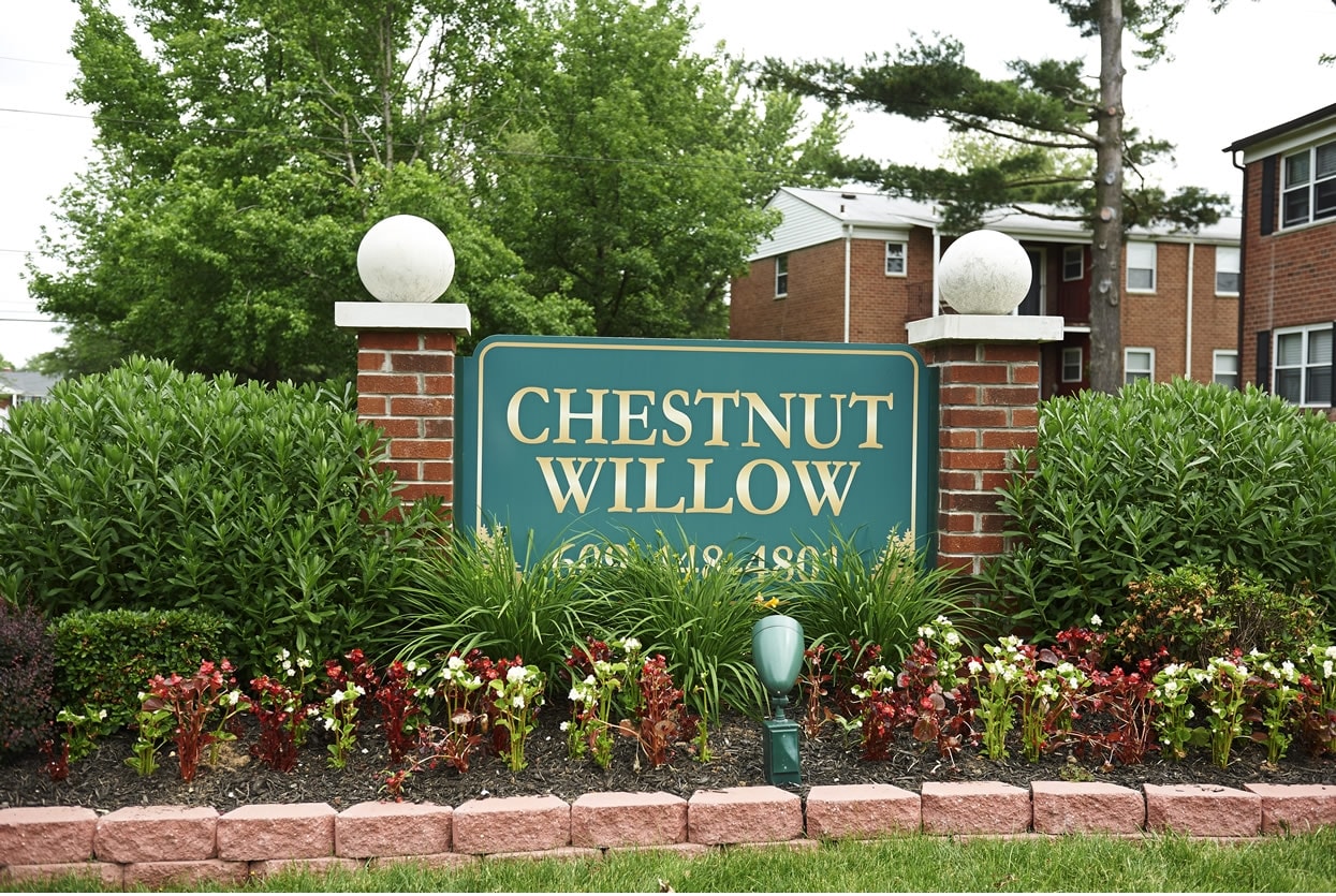 Chestnut Willow - Chestnut Willow Apartments