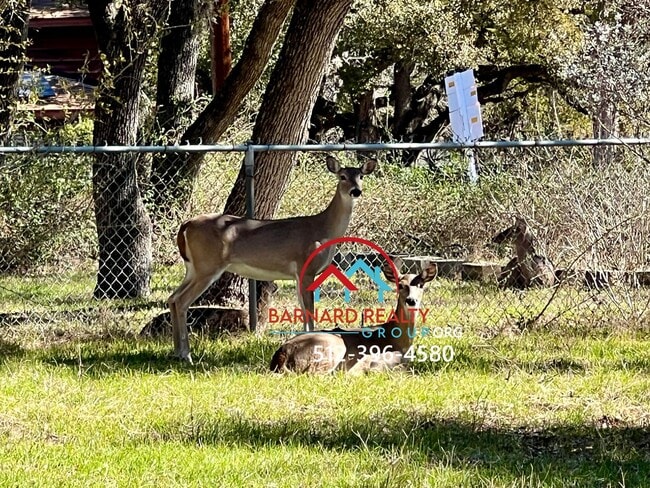 Photo - Available March 21: 3 Bed/2 Bath in Established Neighborhood