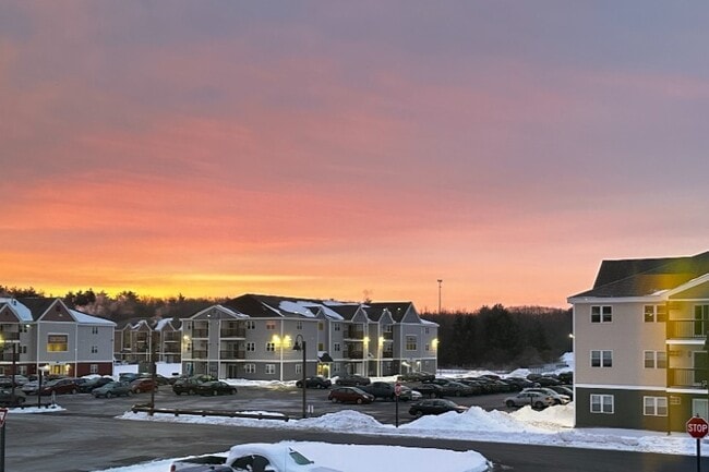 Sunrise over Lilac Garden