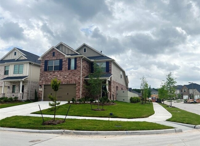 Photo - 17697 Tree of Heaven