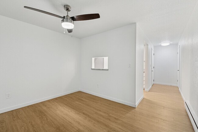 Photo - Shannon South