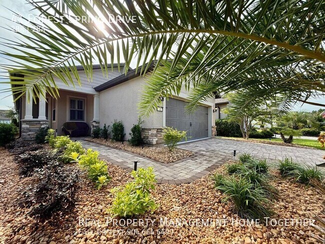 Photo - 41 Forest Spring Dr