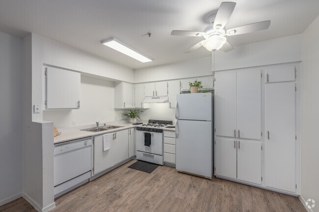 2BR, 1BA - 720SF - Kitchen