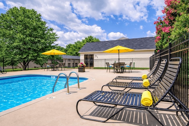 Pool with Sundeck