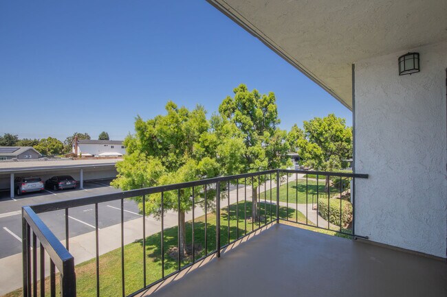 Arbor Court Apartment Homes