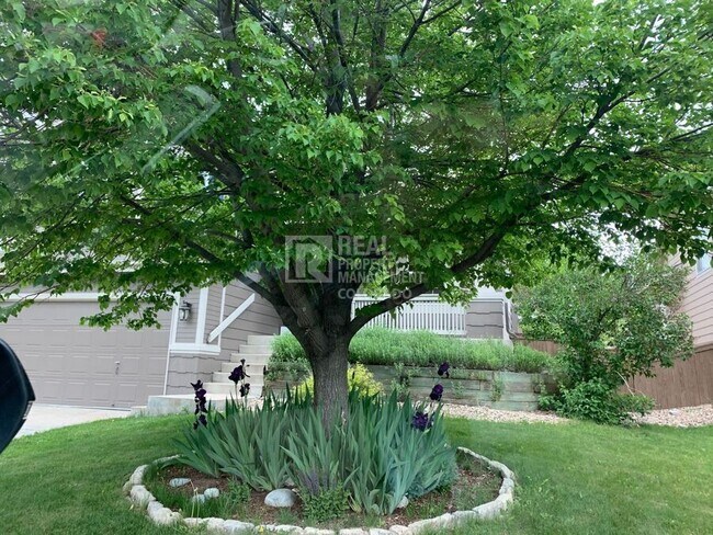 Photo - 515 W Stellars Jay Dr