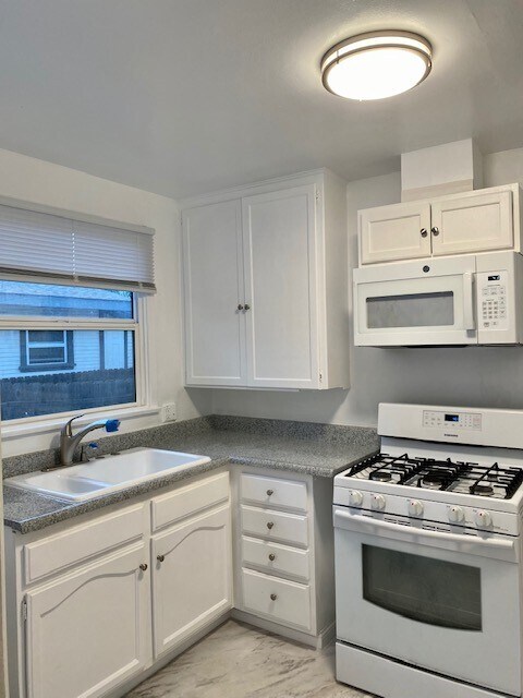 upgraded kitchen, reglazed counters and sink, new built in microwave, Samsung gas stove - 842 Euclid Ave