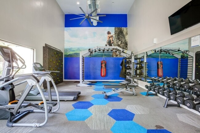 Gimnasio